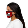 Kentucky Christmas Mixed-Fabric Face Mask